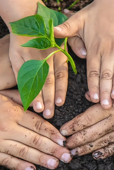 Philanthropy Business